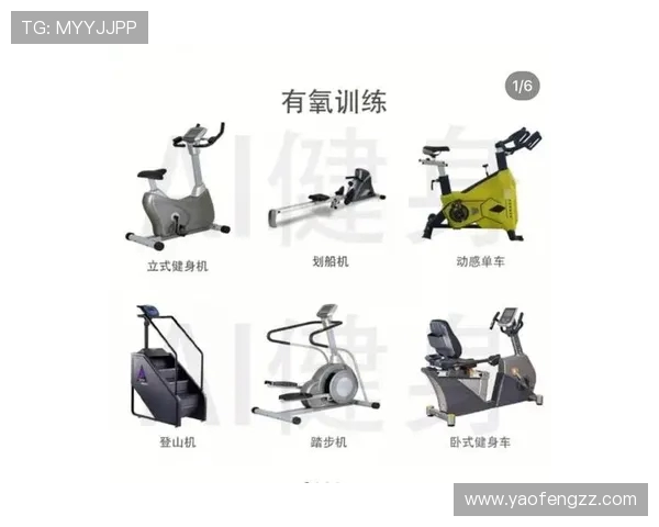 健身器材设备分类与功能详解