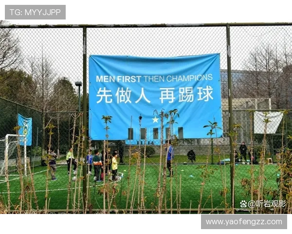 青训崩塌与资本撤离:中超联赛停摆的深层警示