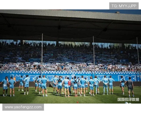 为什么德甲比赛会出现停播现象？原因解析