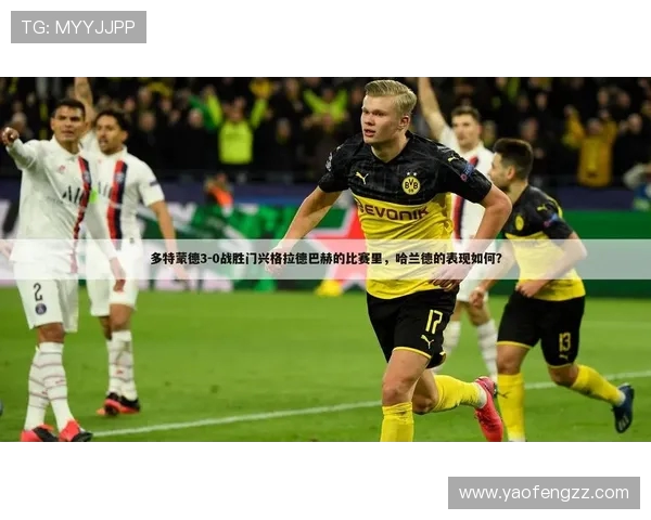 德甲联赛报送的参赛球队名单及资格审核流程