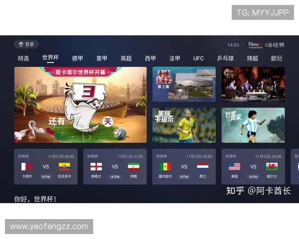 深入解析网络平台究竟是否拥有世界杯赛事独家转播授权真相揭秘